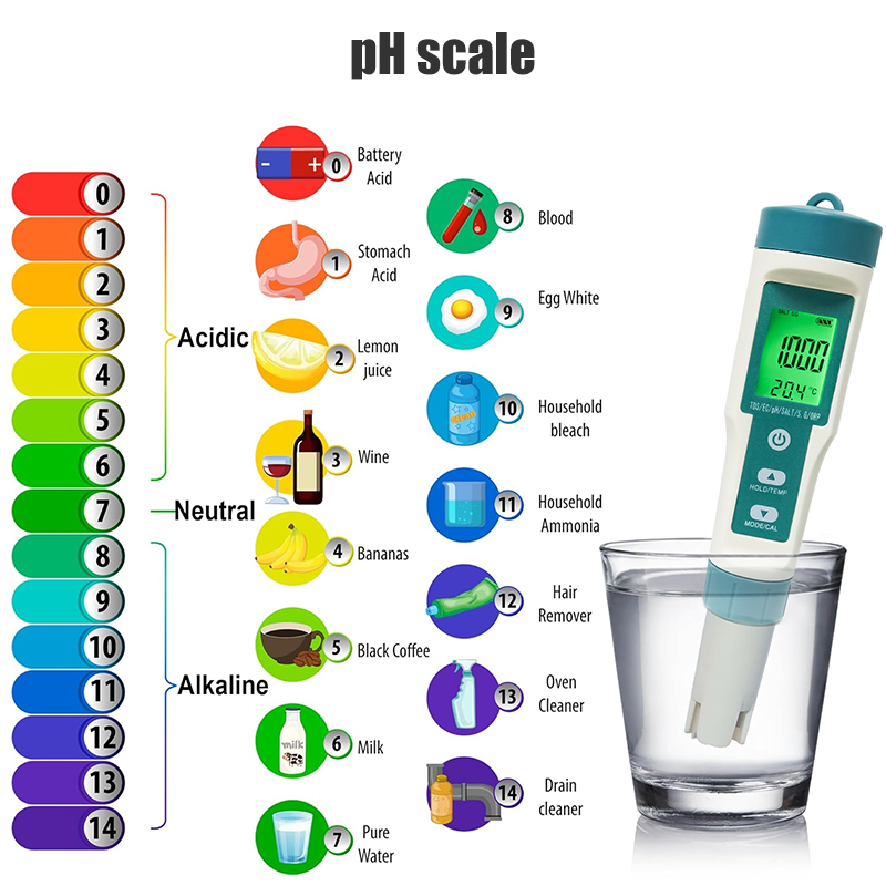 WESTTUNE Digital PH Meter 7 In - огляд і ціна Ph Meter Digital Water Tester