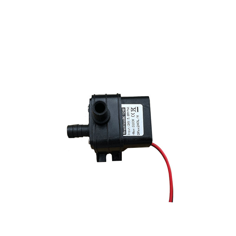 Portable DC 12V 4.8W 24V 5.8W  - огляд і ціна Mini Peristaltic Pump 12V